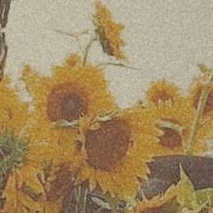 Fundraising Page: Grace & Chelsea Zhang